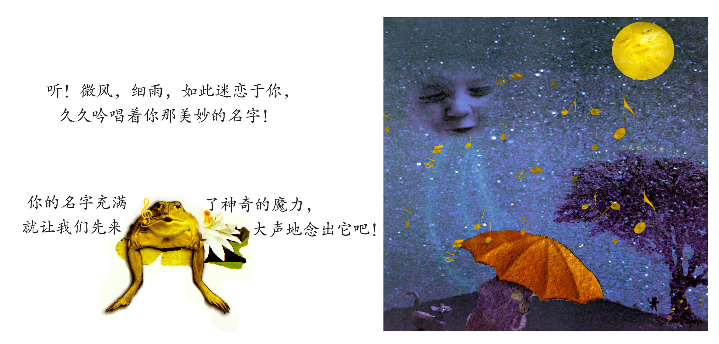 你出生的那个晚上 (04),绘本,绘本故事,绘本阅读,故事书,童书,图画书,课外阅读